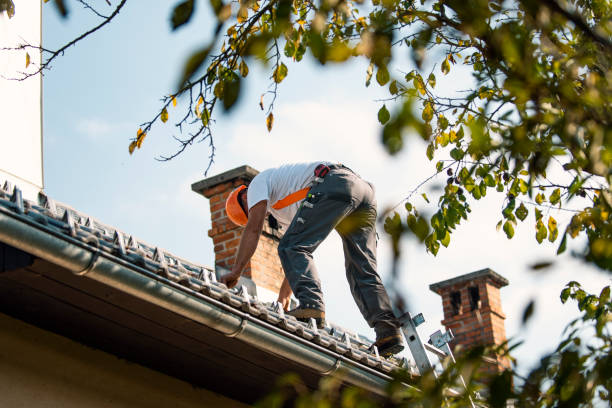 Roof Gutter Cleaning in Canton Valley, CT